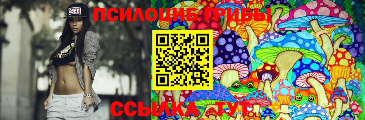 где найти   Псилоцибиновые грибы MAGIC MUSHROOMS  Вход с VPN  Псилоцибиновые грибы Cubensis  Буйнакск 